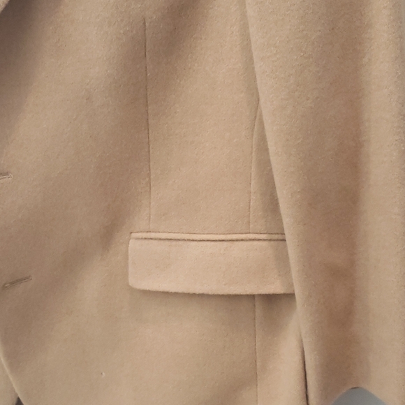 Blazor - Picture 4 of 7